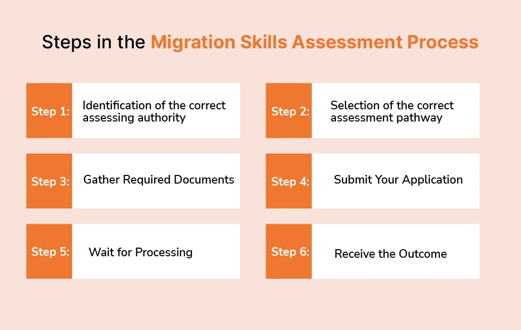 Steps in the Migration Skill Assessment Process